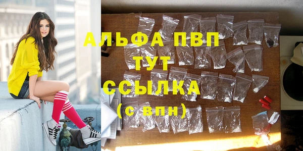 ешки Белокуриха