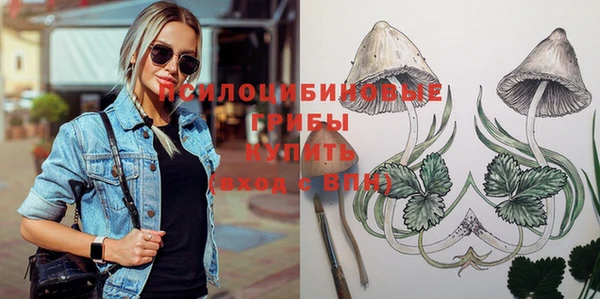 ешки Белокуриха