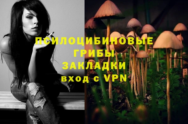 винт Дмитриев