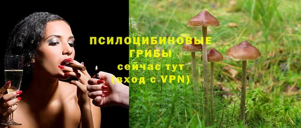ешки Белокуриха