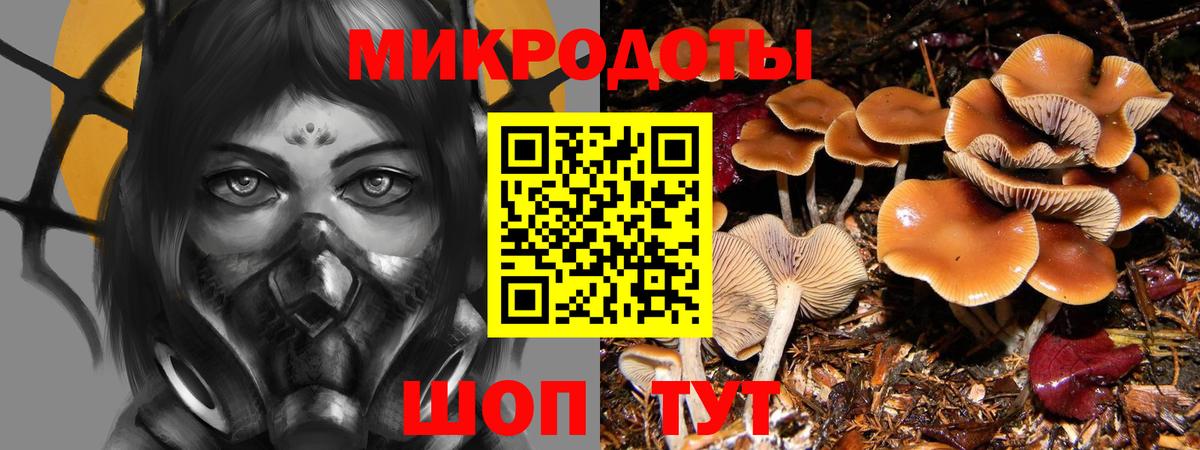 Галлюциногенные грибы Magic Shrooms  Галлюциногенные грибы MAGIC MUSHROOMS  Реж  Вход с VPN 