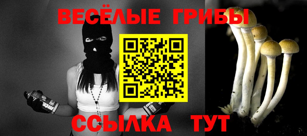 Псилоцибиновые грибы Cubensis Реж